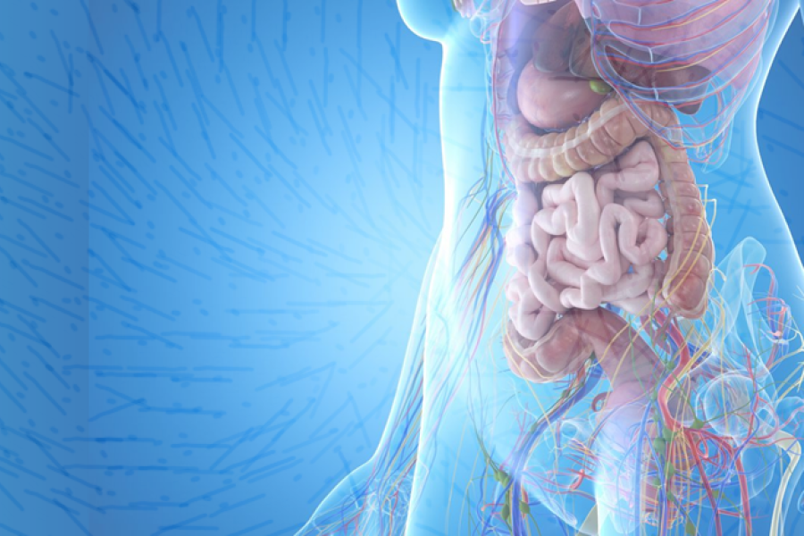 The Gut Microbiome: From Microbial Metabolism to Human Biology – Vitas Analytical Services