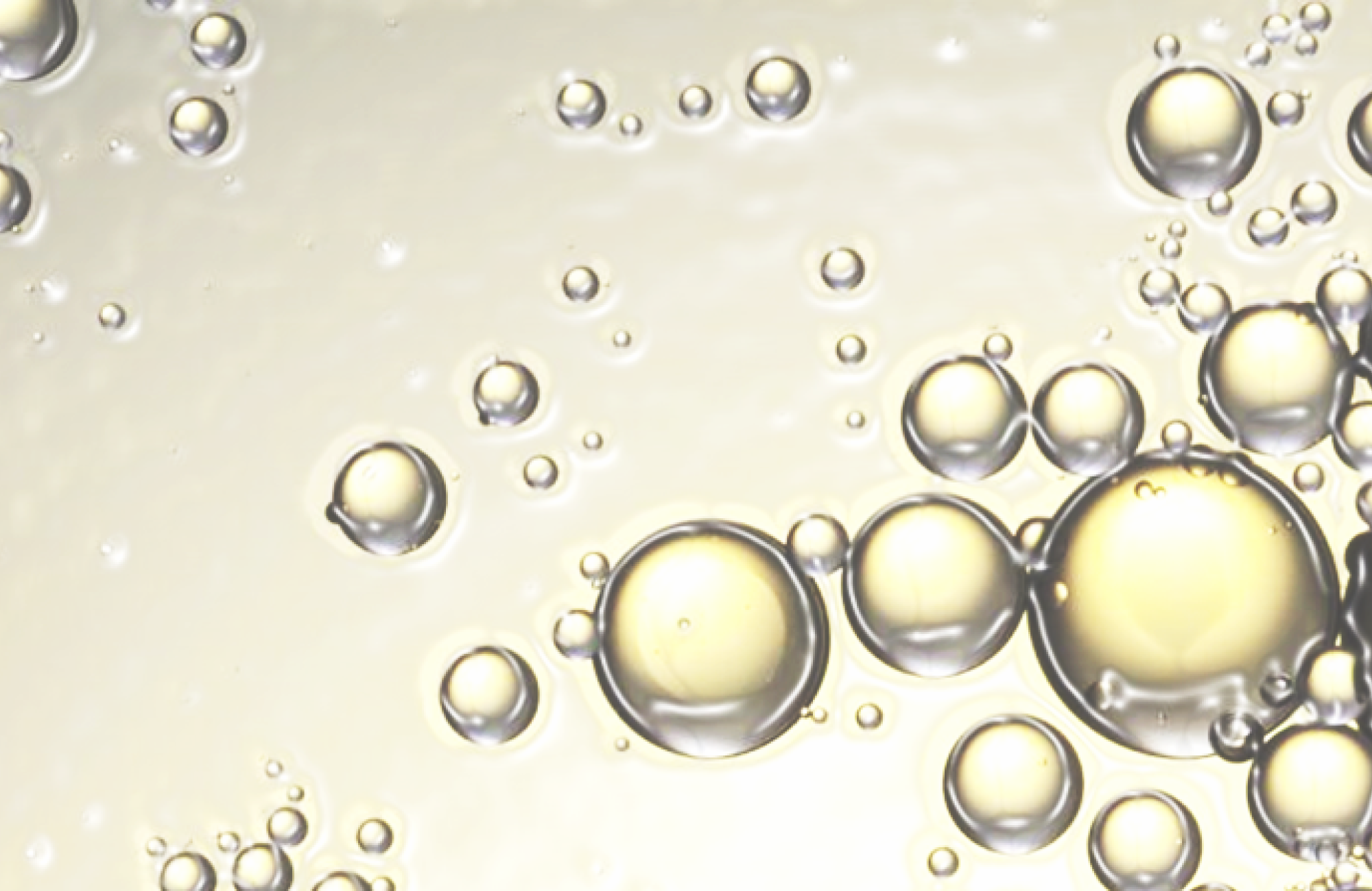 Lipidomic Analytical Services – Vitas Analytical Services
