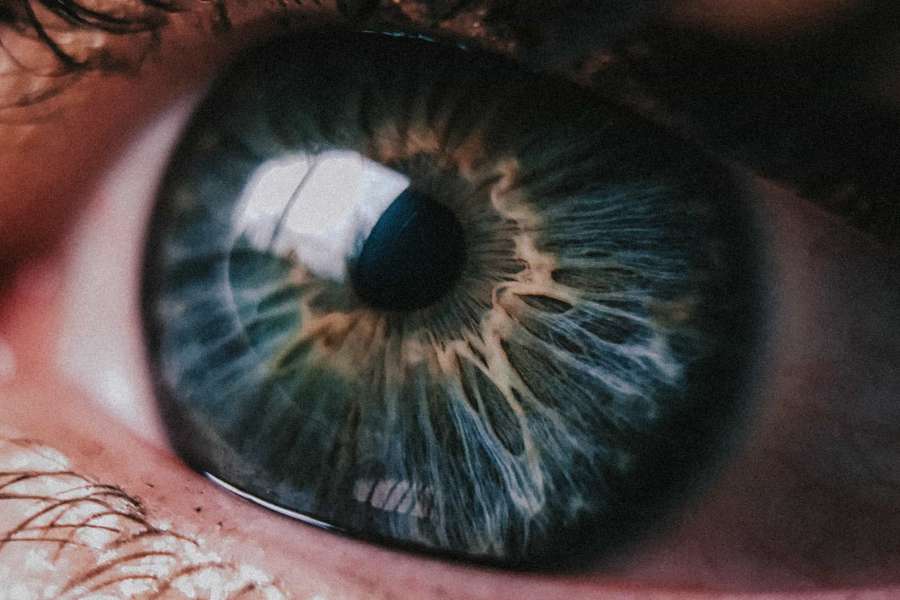 Mission & vision – Vitas Analytical Services